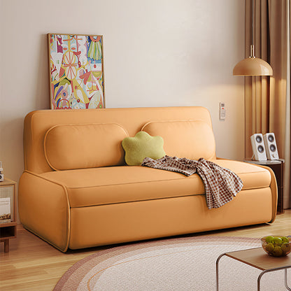 Ari Two Seater Sofa Bed