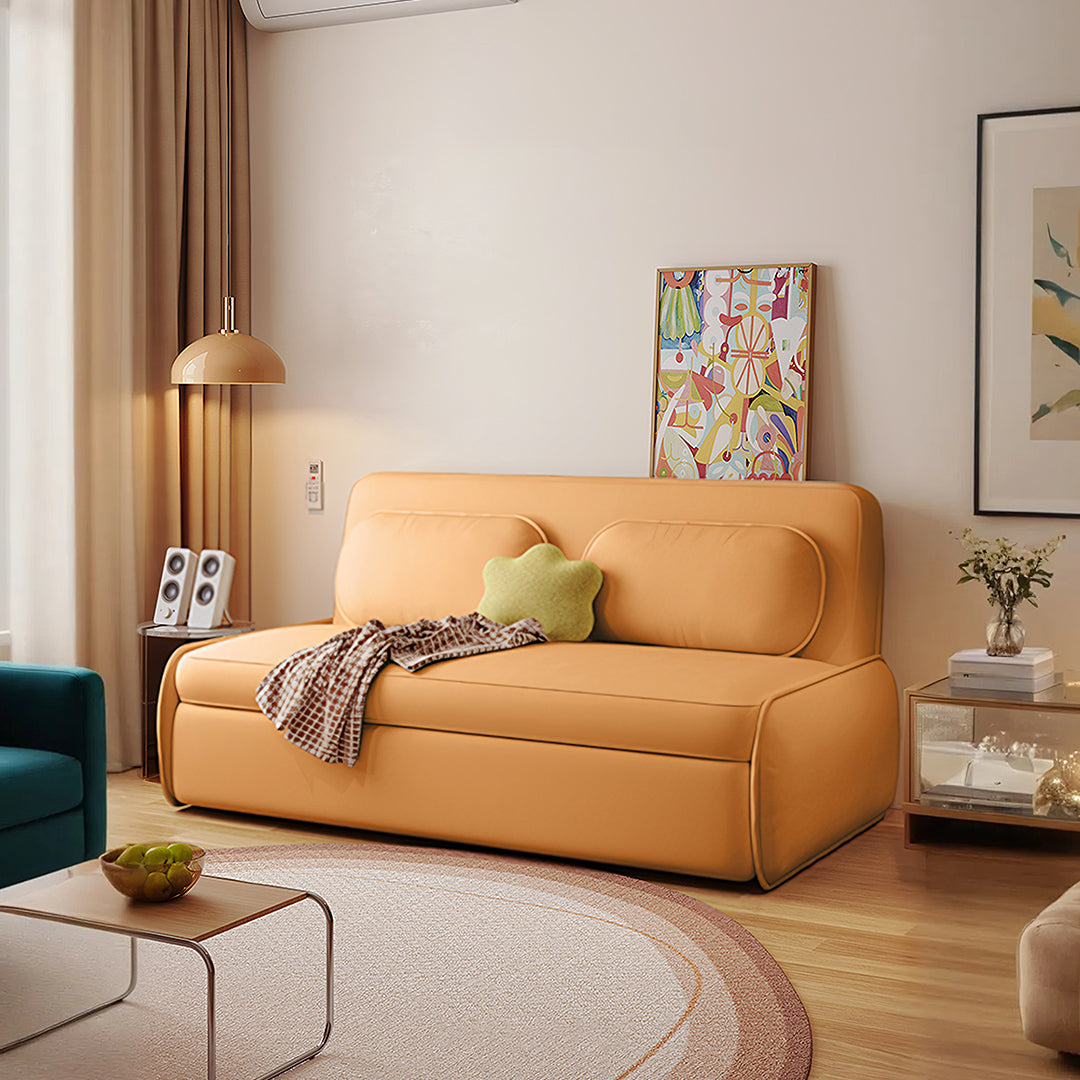 Ari Two Seater Sofa Bed